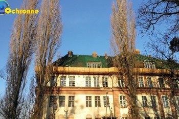Siatki Sopot - Siatki zabezpieczające dach dla terenów Sopotu